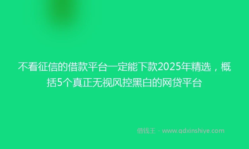 不看征信的借款平台一定能下款2025年精选，概括5个真正无视风控黑白的网贷平台