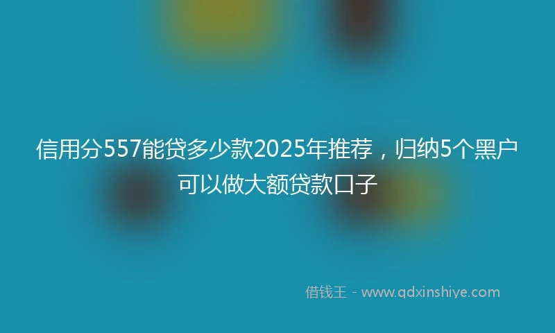 信用分557能贷多少款2025年推荐，归纳5个黑户可以做大额贷款口子