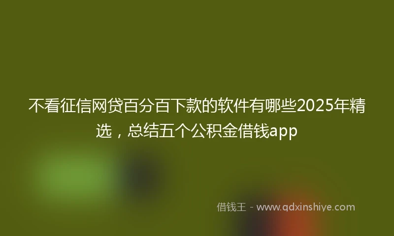 不看征信网贷百分百下款的软件有哪些2025年精选，总结五个公积金借钱app