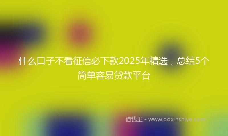 什么口子不看征信必下款2025年精选，总结5个简单容易贷款平台