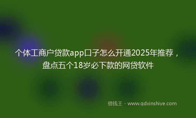 个体工商户贷款app口子怎么开通2025年推荐，盘点五个18岁必下款的网贷软件