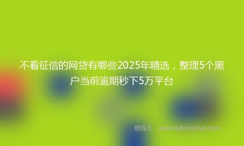 不看征信的网贷有哪些2025年精选，整理5个黑户当前逾期秒下5万平台