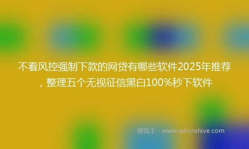不看风控强制下款的网贷有哪些软件2025年推荐，整理五个无视征信黑白100%秒下软件
