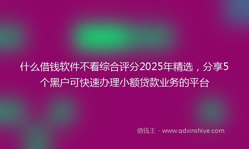 什么借钱软件不看综合评分2025年精选，分享5个黑户可快速办理小额贷款业务的平台