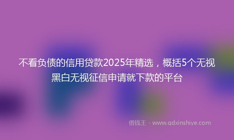 不看负债的信用贷款2025年精选，概括5个无视黑白无视征信申请就下款的平台