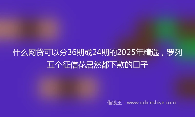 什么网贷可以分36期或24期的2025年精选，罗列五个征信花居然都下款的口子