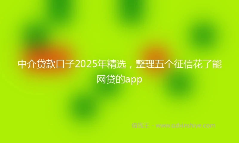 中介贷款口子2025年精选，整理五个征信花了能网贷的app