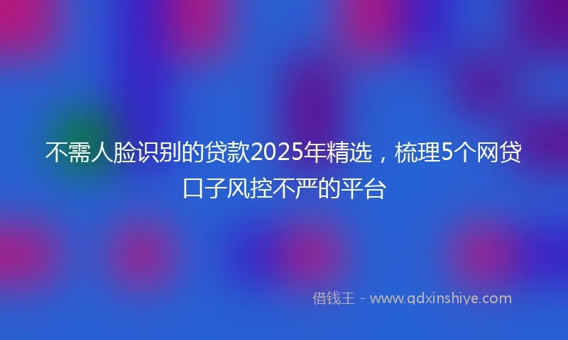 不需人脸识别的贷款2025年精选，梳理5个网贷口子风控不严的平台