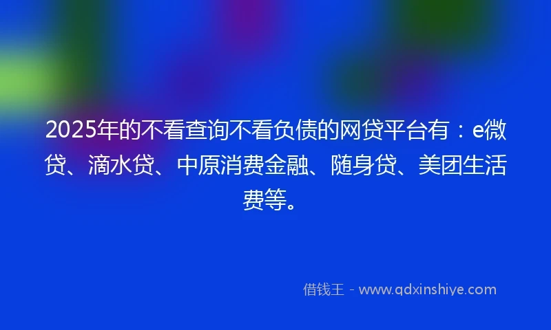 2025年的不看查询不看负债的网贷平台有：e微贷、滴水贷、中原消费金融、随身贷、美团生活费等。