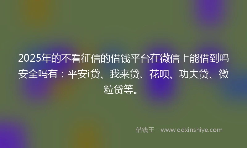 2025年的不看征信的借钱平台在微信上能借到吗安全吗有：平安i贷、我来贷、花呗、功夫贷、微粒贷等。