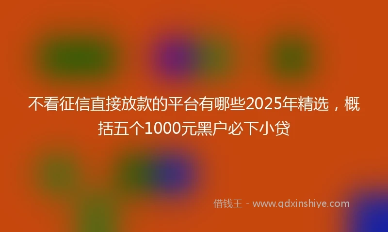 不看征信直接放款的平台有哪些2025年精选，概括五个1000元黑户必下小贷