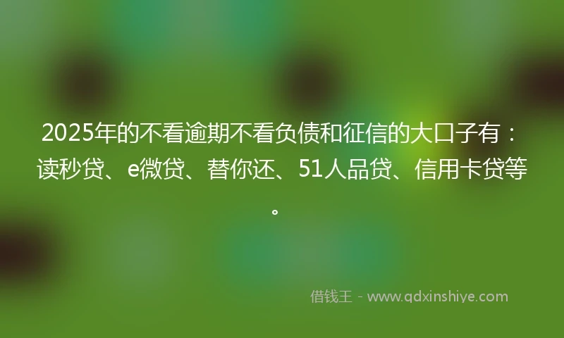 2025年的不看逾期不看负债和征信的大口子有：读秒贷、e微贷、替你还、51人品贷、信用卡贷等。