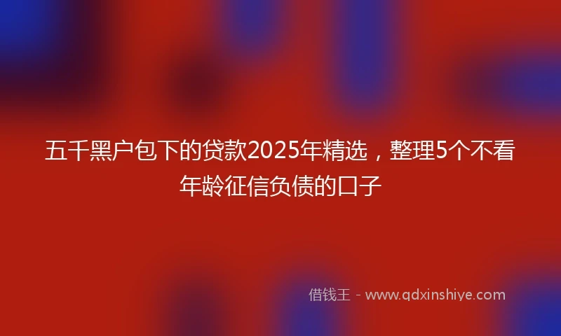 五千黑户包下的贷款2025年精选，整理5个不看年龄征信负债的口子