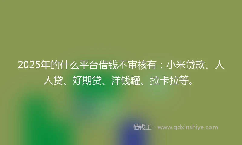 2025年的什么平台借钱不审核有：小米贷款、人人贷、好期贷、洋钱罐、拉卡拉等。