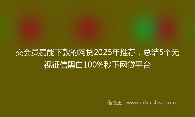 交会员费能下款的网贷2025年推荐，总结5个无视征信黑白100%秒下网贷平台
