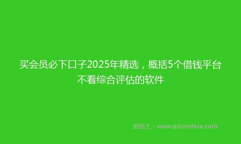 买会员必下口子2025年精选，概括5个借钱平台不看综合评估的软件