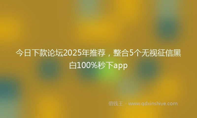 今日下款论坛2025年推荐，整合5个无视征信黑白100%秒下app