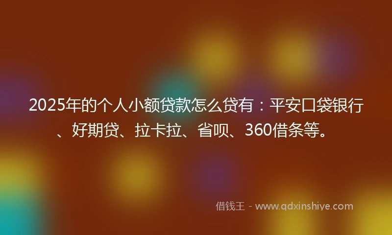 2025年的个人小额贷款怎么贷有：平安口袋银行、好期贷、拉卡拉、省呗、360借条等。