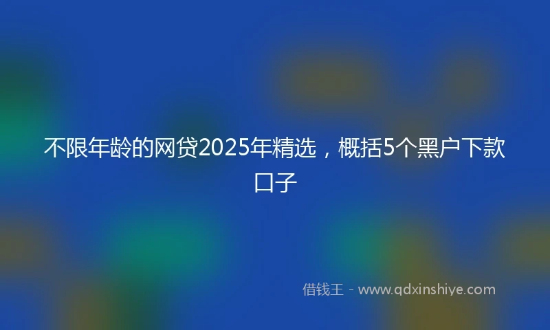 不限年龄的网贷2025年精选，概括5个黑户下款口子