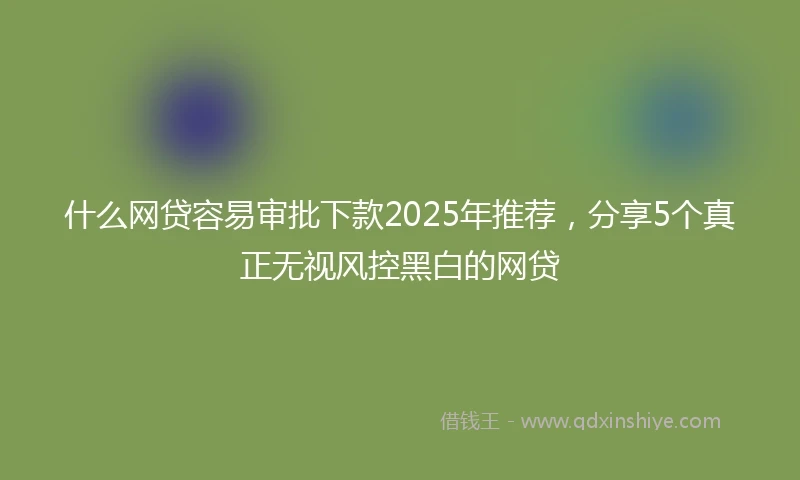 什么网贷容易审批下款2025年推荐，分享5个真正无视风控黑白的网贷