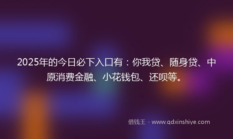 2025年的今日必下入口有：你我贷、随身贷、中原消费金融、小花钱包、还呗等。