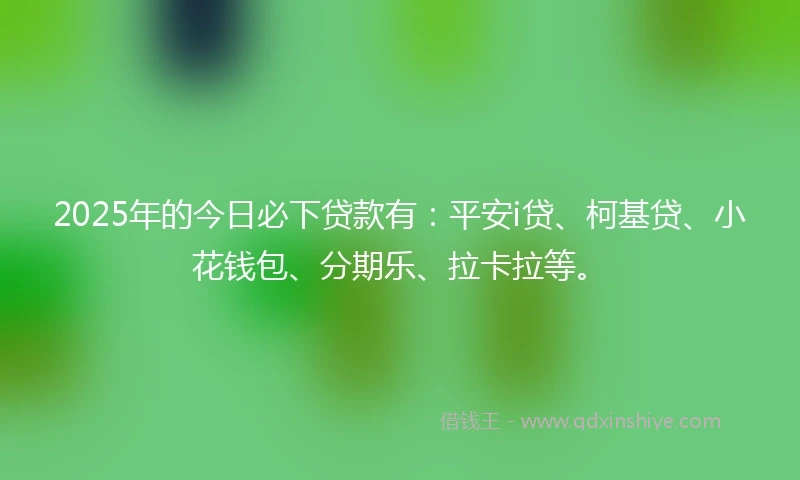 2025年的今日必下贷款有：平安i贷、柯基贷、小花钱包、分期乐、拉卡拉等。