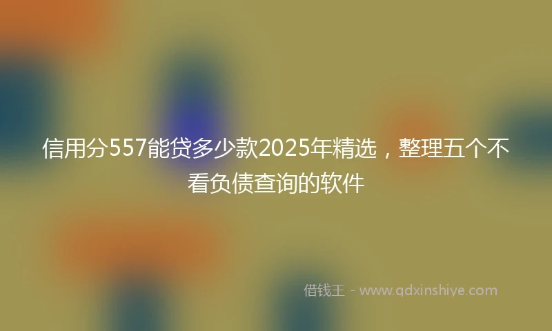 信用分557能贷多少款2025年精选，整理五个不看负债查询的软件