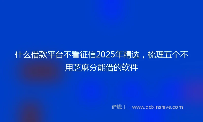 什么借款平台不看征信2025年精选，梳理五个不用芝麻分能借的软件