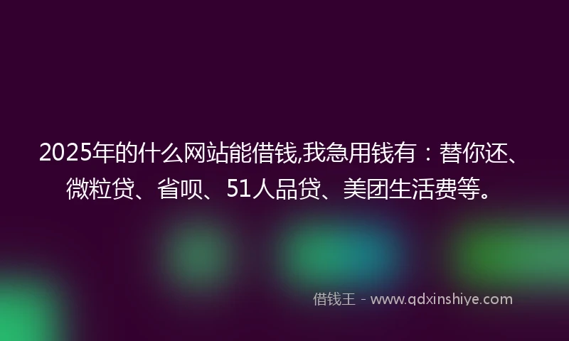 2025年的什么网站能借钱,我急用钱有：替你还、微粒贷、省呗、51人品贷、美团生活费等。