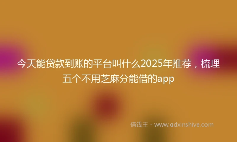 今天能贷款到账的平台叫什么2025年推荐，梳理五个不用芝麻分能借的app