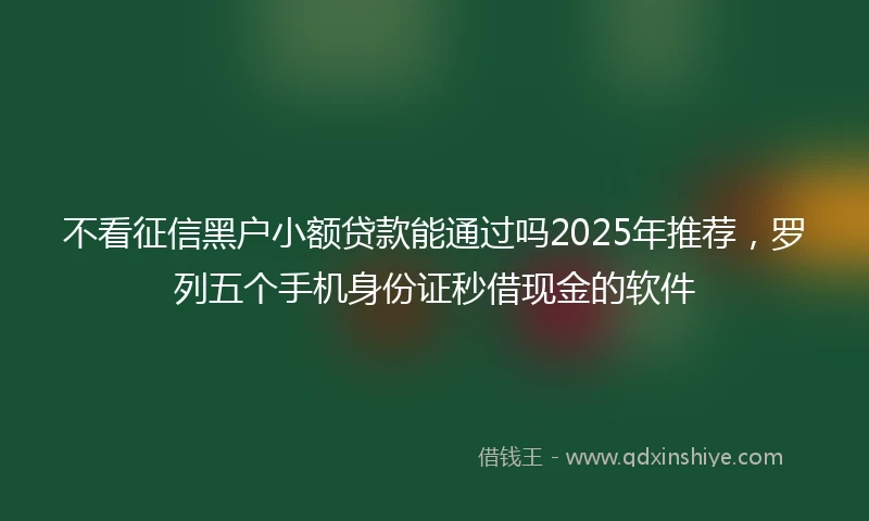不看征信黑户小额贷款能通过吗2025年推荐，罗列五个手机身份证秒借现金的软件