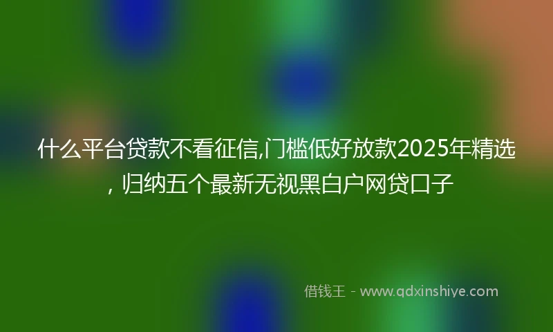 什么平台贷款不看征信,门槛低好放款2025年精选，归纳五个最新无视黑白户网贷口子