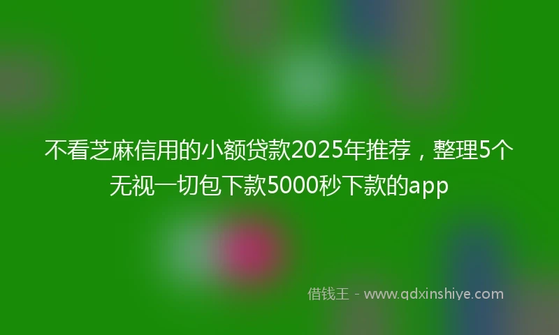 不看芝麻信用的小额贷款2025年推荐，整理5个无视一切包下款5000秒下款的app