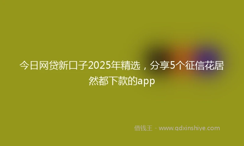 今日网贷新口子2025年精选，分享5个征信花居然都下款的app