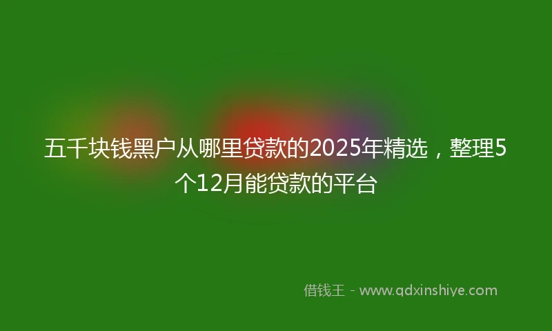 五千块钱黑户从哪里贷款的2025年精选，整理5个12月能贷款的平台