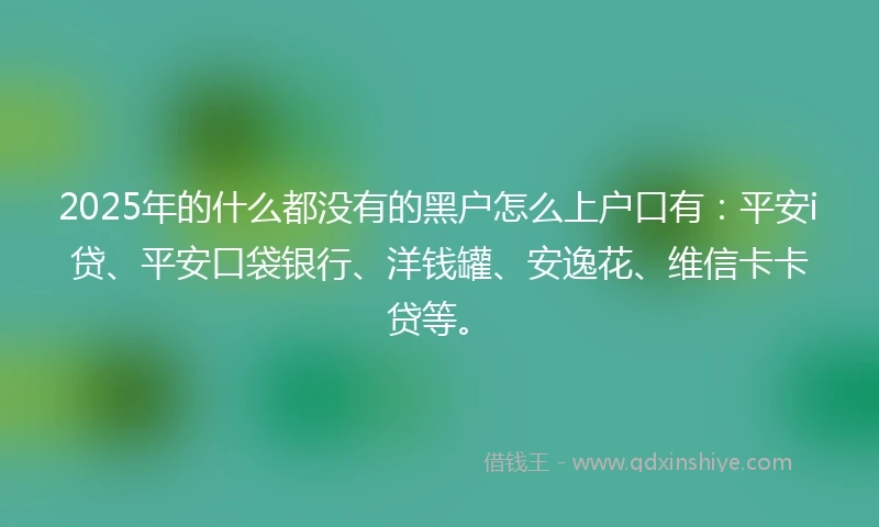 2025年的什么都没有的黑户怎么上户口有：平安i贷、平安口袋银行、洋钱罐、安逸花、维信卡卡贷等。