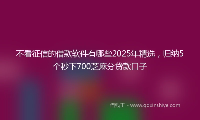 不看征信的借款软件有哪些2025年精选，归纳5个秒下700芝麻分贷款口子