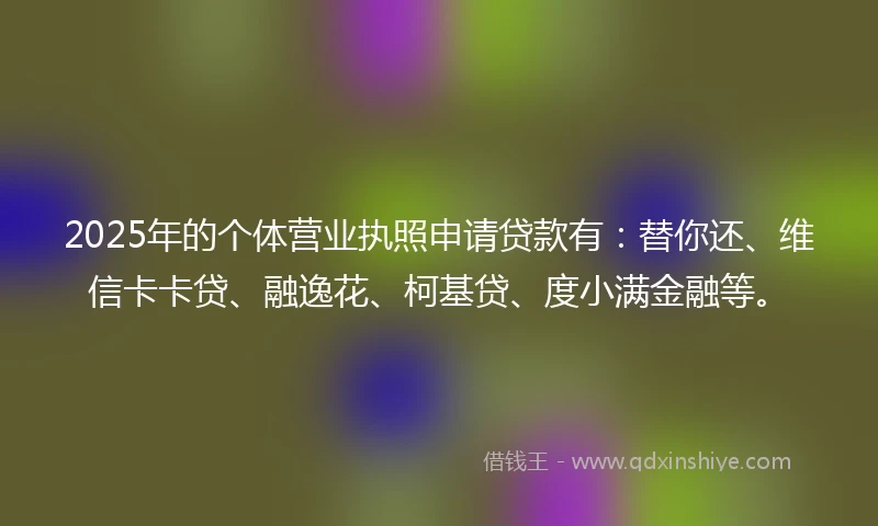 2025年的个体营业执照申请贷款有：替你还、维信卡卡贷、融逸花、柯基贷、度小满金融等。