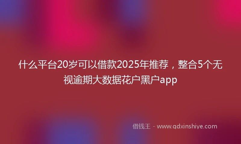 什么平台20岁可以借款2025年推荐，整合5个无视逾期大数据花户黑户app