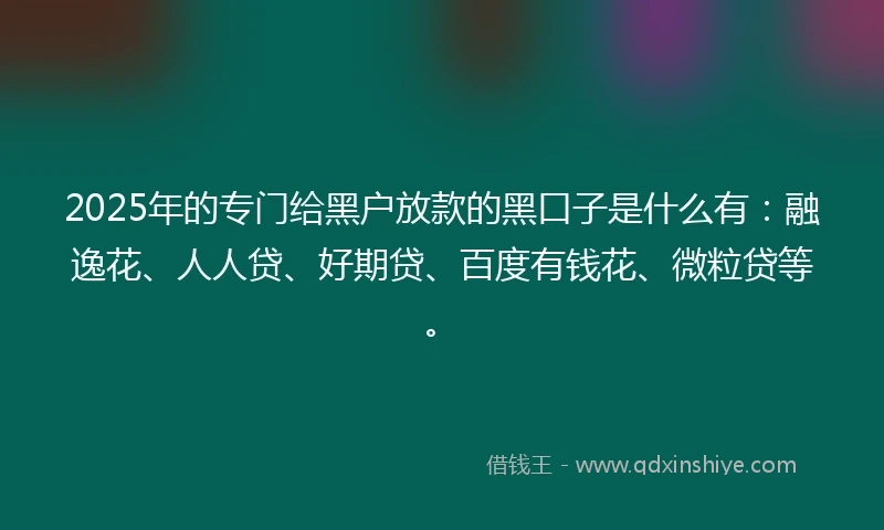 2025年的专门给黑户放款的黑口子是什么有：融逸花、人人贷、好期贷、百度有钱花、微粒贷等。