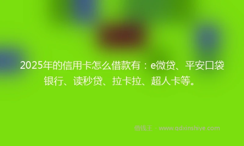 2025年的信用卡怎么借款有：e微贷、平安口袋银行、读秒贷、拉卡拉、超人卡等。