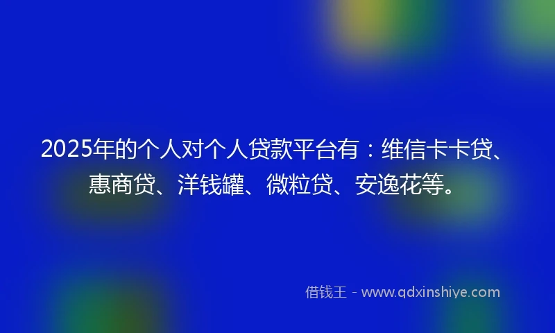 2025年的个人对个人贷款平台有：维信卡卡贷、惠商贷、洋钱罐、微粒贷、安逸花等。