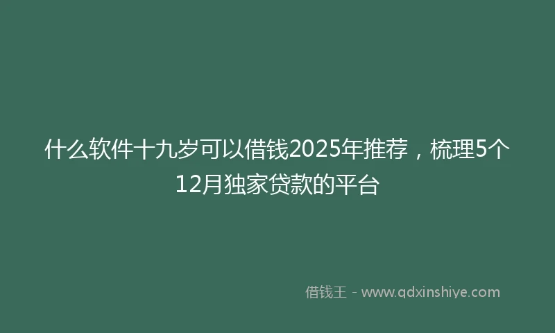 什么软件十九岁可以借钱2025年推荐，梳理5个12月独家贷款的平台