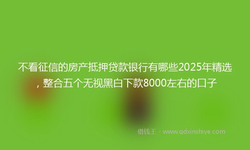 不看征信的房产抵押贷款银行有哪些2025年精选，整合五个无视黑白下款8000左右的口子