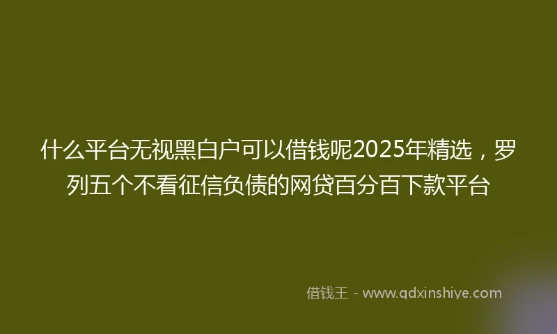 什么平台无视黑白户可以借钱呢2025年精选，罗列五个不看征信负债的网贷百分百下款平台