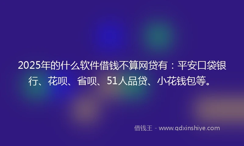 2025年的什么软件借钱不算网贷有：平安口袋银行、花呗、省呗、51人品贷、小花钱包等。