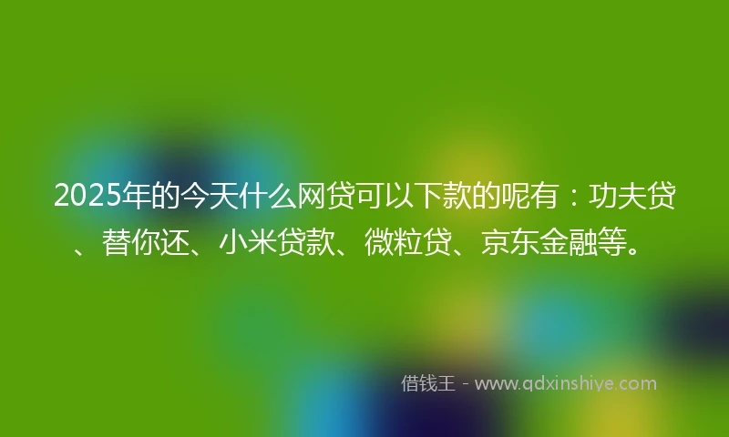 2025年的今天什么网贷可以下款的呢有：功夫贷、替你还、小米贷款、微粒贷、京东金融等。