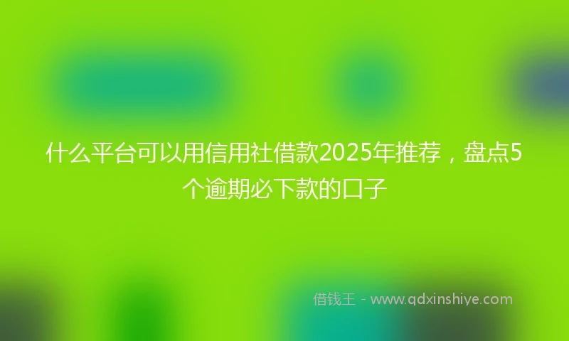 什么平台可以用信用社借款2025年推荐，盘点5个逾期必下款的口子