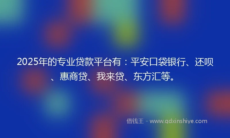 2025年的专业贷款平台有：平安口袋银行、还呗、惠商贷、我来贷、东方汇等。