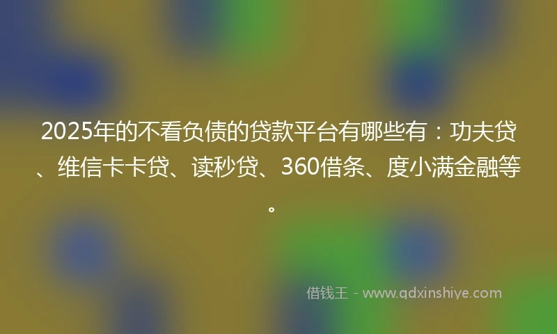 2025年的不看负债的贷款平台有哪些有：功夫贷、维信卡卡贷、读秒贷、360借条、度小满金融等。